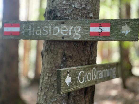 L3 Sandluckengraben Trail