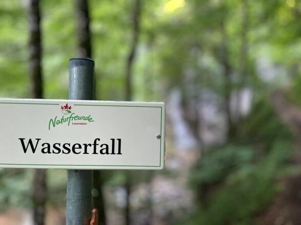 L3 Rinnerberger Trail