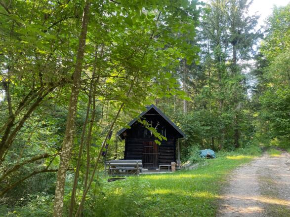 L3 Rinnerberger Trail