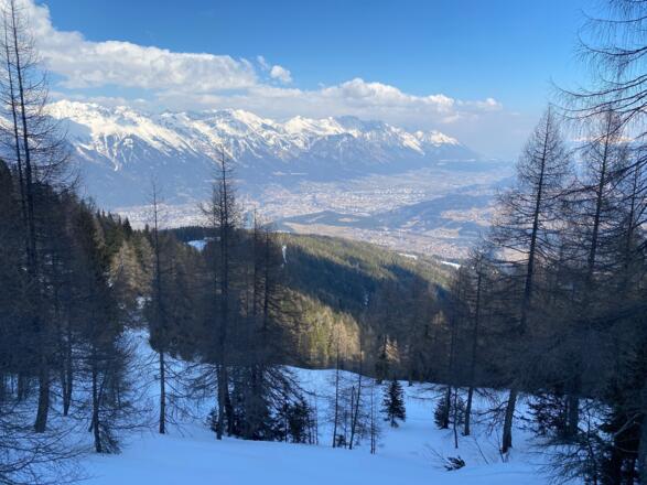 Nach Erreichen des Pfriemesköpfels, quert man etwas höher durch einen lichten Lärchenwald hinein in das Kar, welches zwischen Spitzmandl und Nockspitze (Vorgipfel) eingebettet ist.