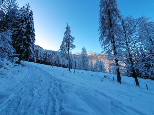 Zur_Stubenalm_1