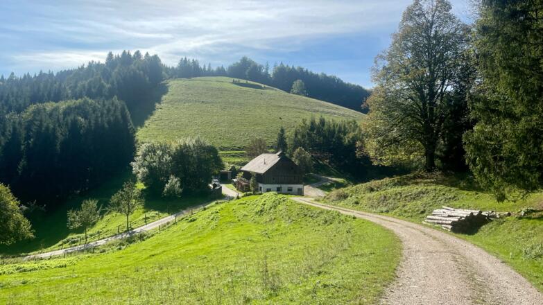 L3 Sandluckengraben Trail