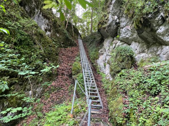 L3 Rinnerberger Trail