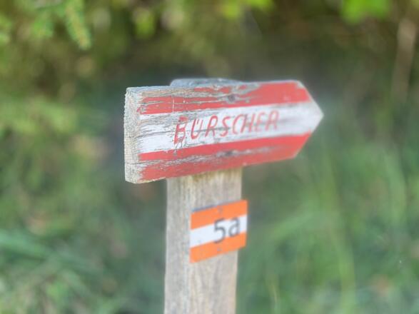 L3 Sandluckengraben Trail