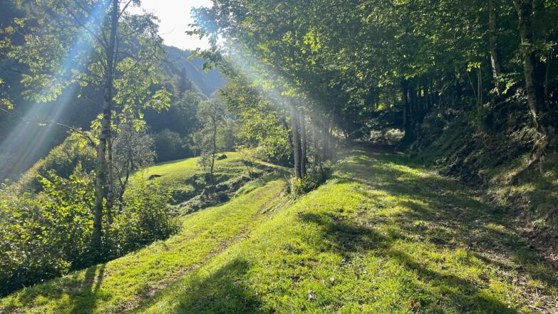 L3 Sandluckengraben Trail