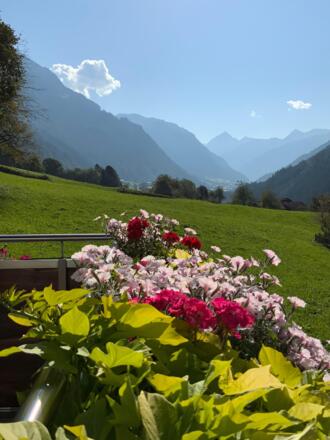 Blick von der Terrasse