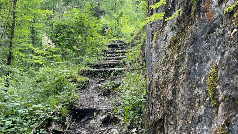 L3 Rinnerberger Trail