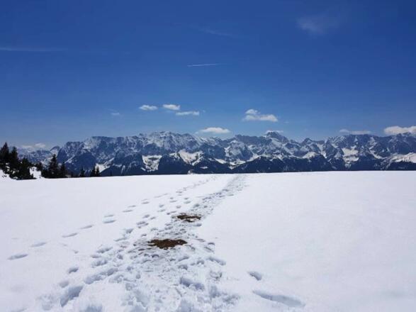 Panoramablick vom Gipfel