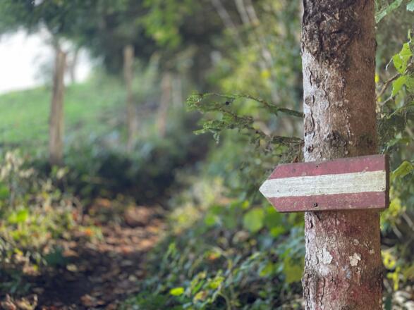 L3 Sandluckengraben Trail