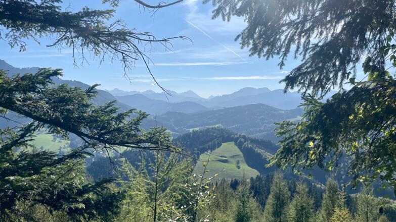 L3 Sandluckengraben Trail