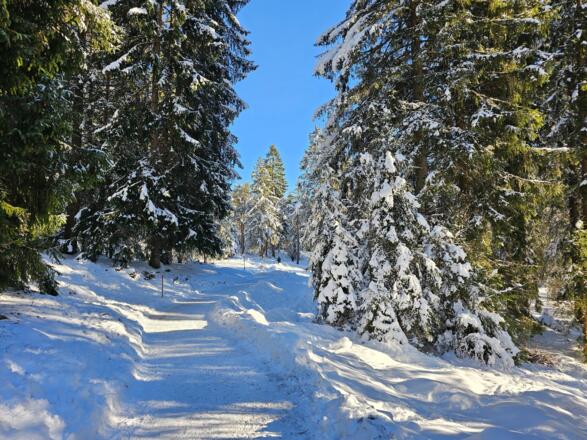 Kramer Plateau Weg