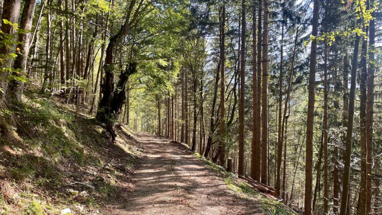 L3 Sandluckengraben Trail