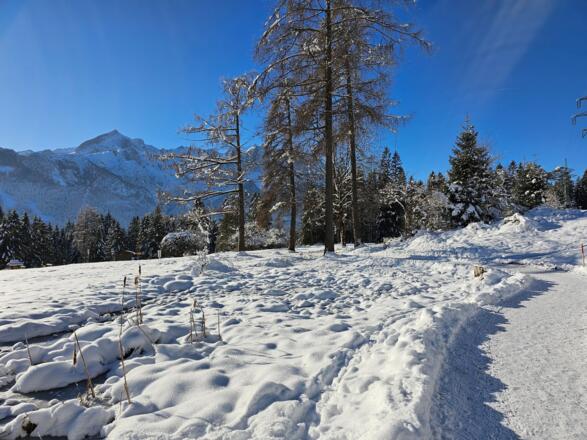 Kramer Plateau Weg