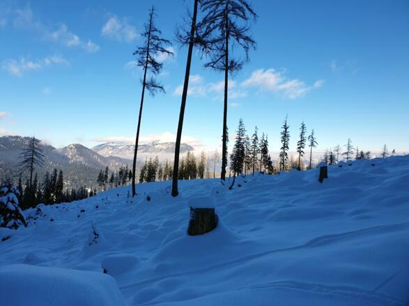 Zur_Stubenalm_6