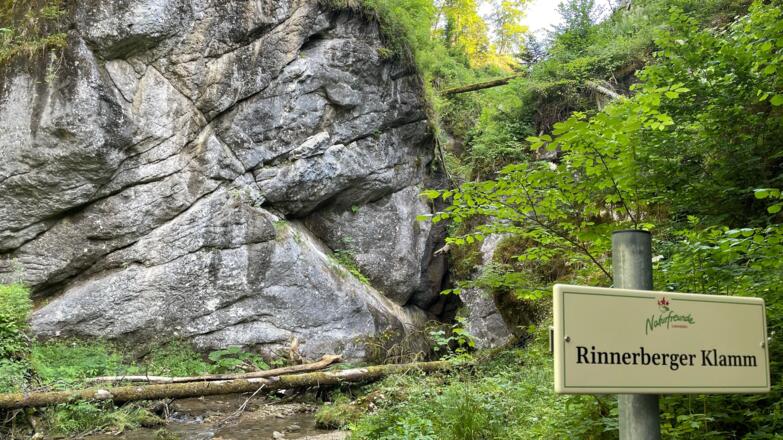L3 Rinnerberger Trail
