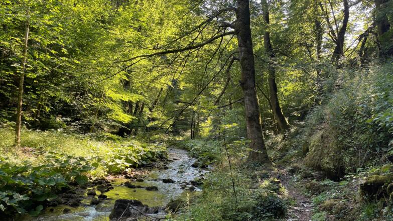 L3 Rinnerberger Trail