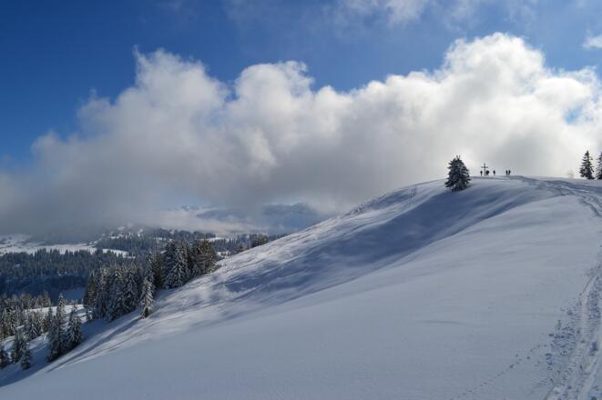 Der breite Gipfel des Hochschelpen