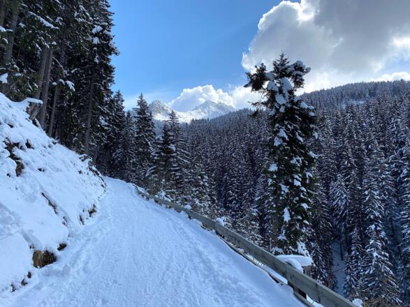 In angenehmer Steilheit folgt man ca. 20 Minuten dem Güterweg/Rodelweg taleinwärts bis zum Geroldsbach.