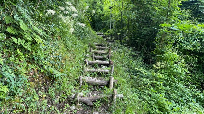 L3 Rinnerberger Trail