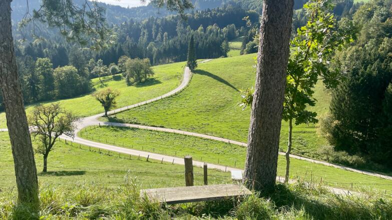 L3 Sandluckengraben Trail