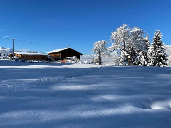 Nach knapp 150 Höhenmetern erreicht man den Bauernhof am Götzner Berg.