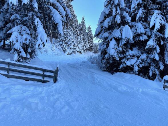 Nach dem Seitenarm steigt man wiederum am Rand der Skipiste auf, bis man auf den Güterweg bzw. Rodelweg in Richtung Götzner Alm trifft.
