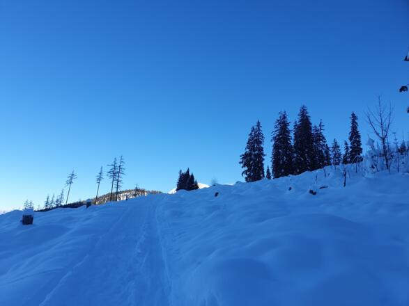 Zur_Stubenalm_7