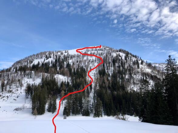 Grobe Auf- und Abstiegsroute NW-Flanke Hohen Zinken