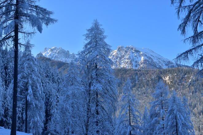 Zur_Stubenalm_23