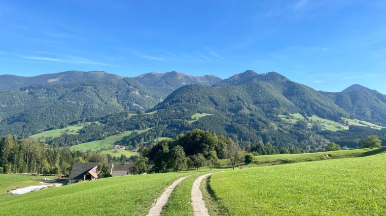 L3 Sandluckengraben Trail