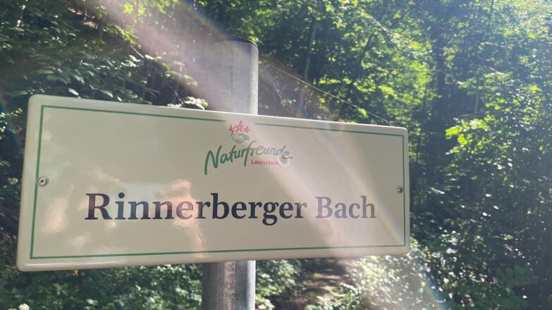 L3 Rinnerberger Trail
