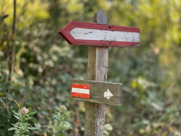 L3 Sandluckengraben Trail