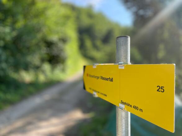 L3 Rinnerberger Trail