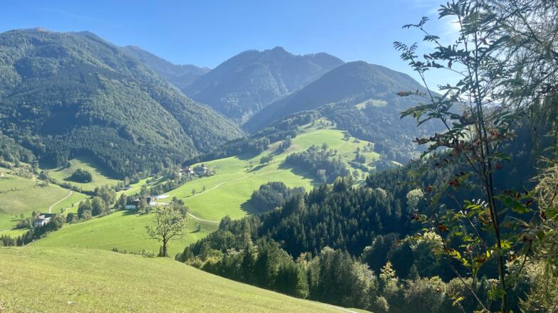 L3 Sandluckengraben Trail