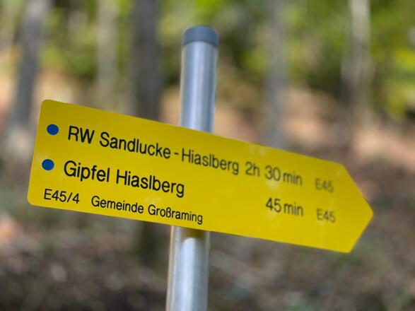 L3 Sandluckengraben Trail