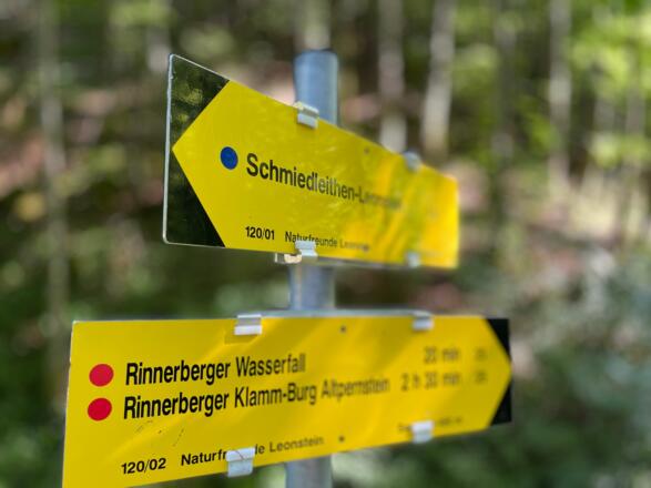 L3 Rinnerberger Trail