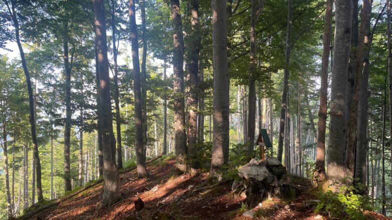 L3 Rinnerberger Trail