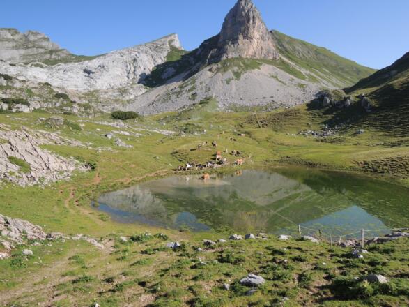 Blick auf den Rosskopf