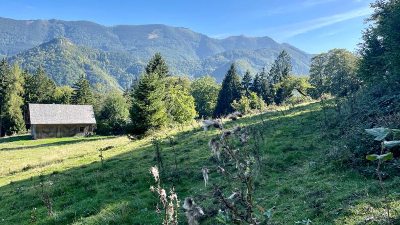 L3 Sandluckengraben Trail