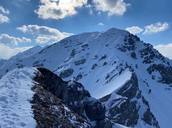 Am Sattel angelangt, sind es nur mehr wenige Schritte zum Gipfel, wobei man beim Anstieg mit Ski doch noch einmal steile Hänge queren muss. Dahinter ragt das Massiv der Saile (Nockspitze) empor.
