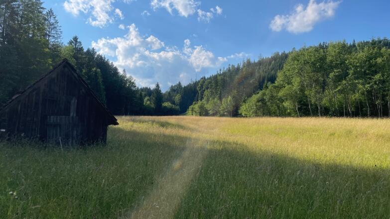 L3 Rinnerberger Trail