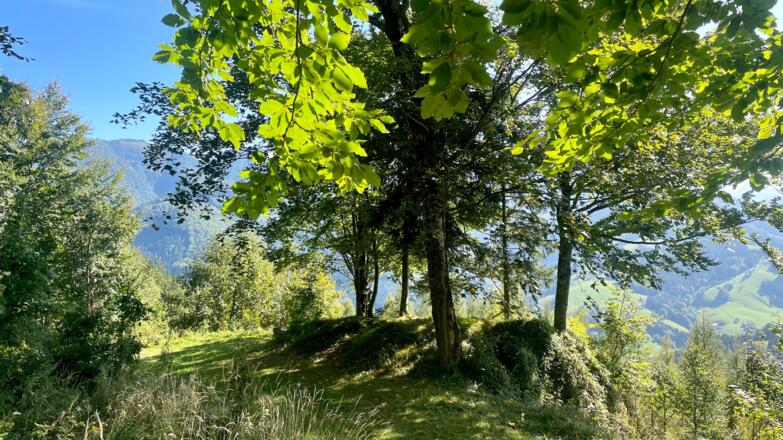 L3 Sandluckengraben Trail