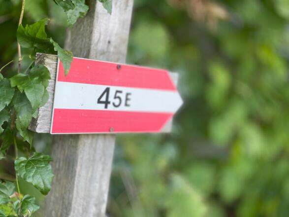 L3 Sandluckengraben Trail