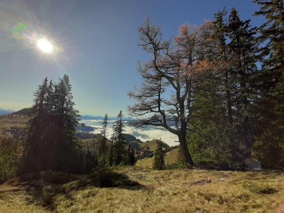 Herbstwanderung