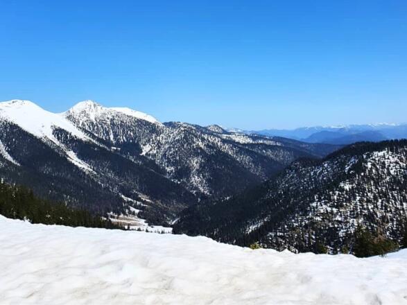Blick in Richtung Krottenkopf