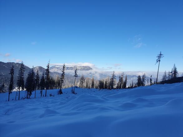 Zur_Stubenalm_10