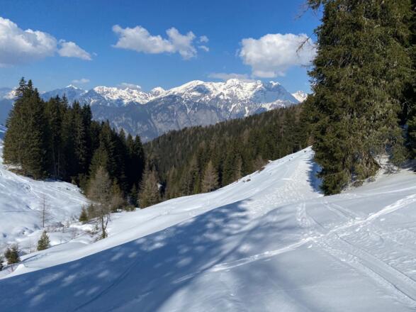 Über einen schönen freien Hang geht es zügig nach oben, wobei man nach wenigen Minuten auf den Güterweg trifft der die Götzner Alm mit der Mutterer Alm verbindet.
