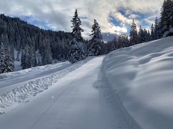 Frisch präparierter Winterwanderweg &quot;Alte Statt&quot;
