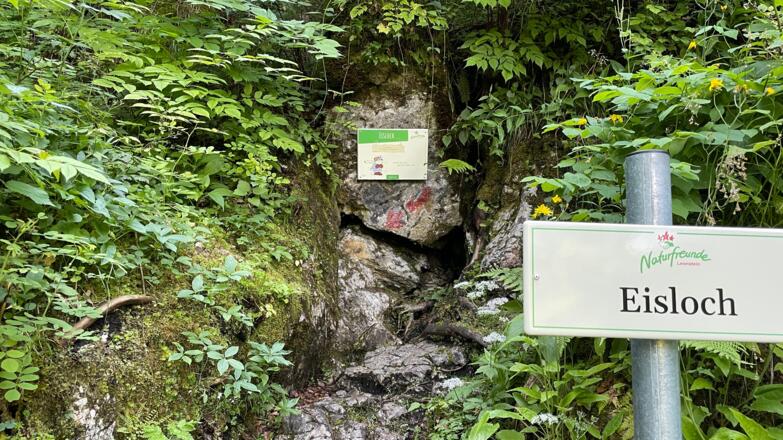 L3 Rinnerberger Trail