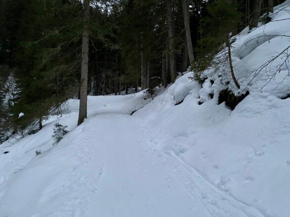 Nach Überquerung des Geroldsbach, zweigt man linkerhand ab und steigt in das Geroldstal auf.